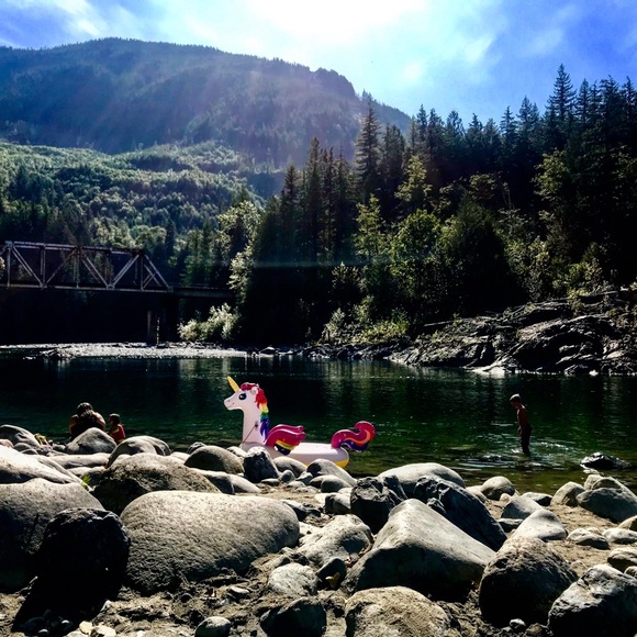 ✨LIVE ✨ - Picture 12 of 16